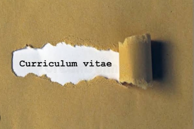 What should my Curriculum Vitae consist of?