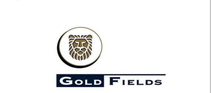 Gold Fields Vacancies